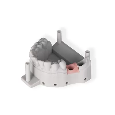 ضربان صورتی ۲. ۰ نرم