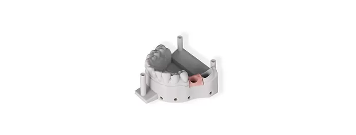 ضربان صورتی ۲. ۰ نرم