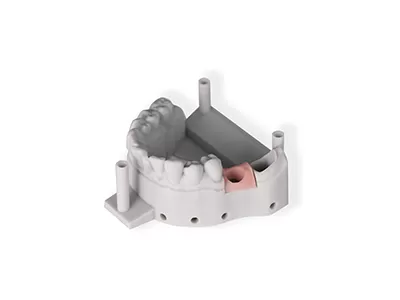 ضربان صورتی ۲. ۰ نرم