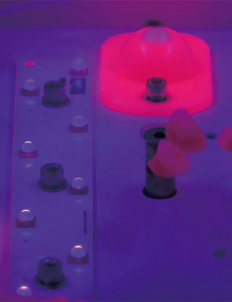 اثر انگشت سه بعدی خود را با راه حل های بعد از پردازش حرفه ای RAYSHAPE افزایش دهید