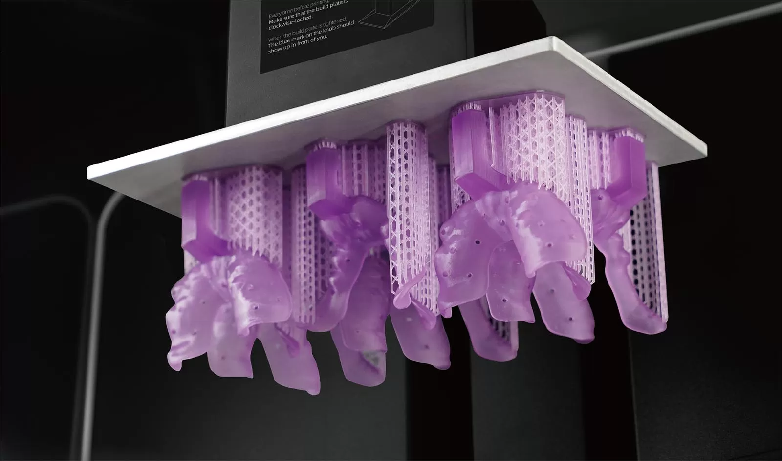 رشته افزونه ی سینی