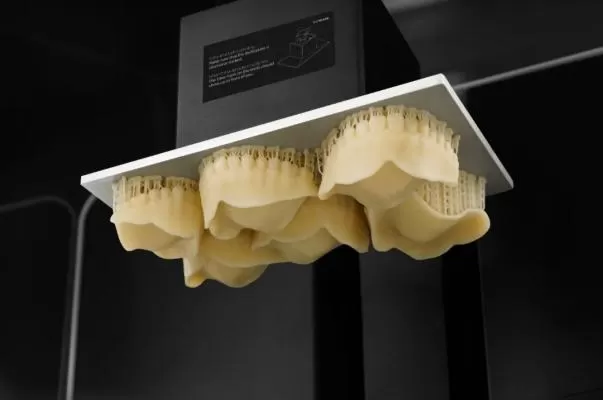 Try-In Resin: Try-In